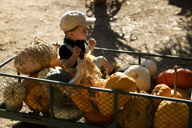 Harvest Time Playtime: A Day in The Pumpkin Patch