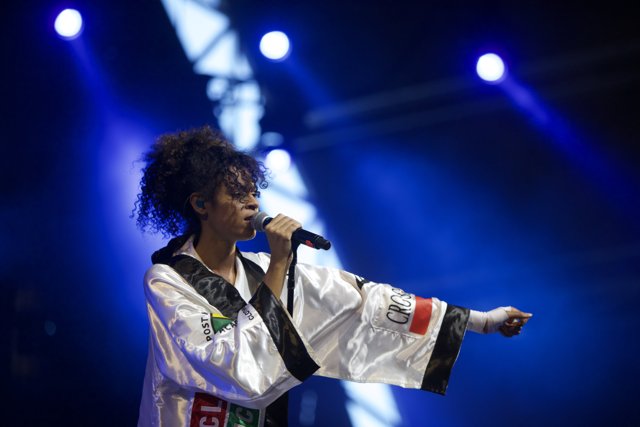 Kimono-clad singer wows crowd at Coachella