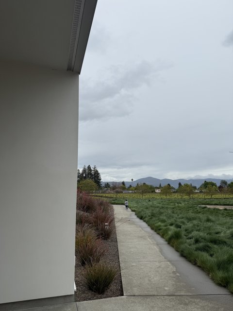 Solitude in Napa