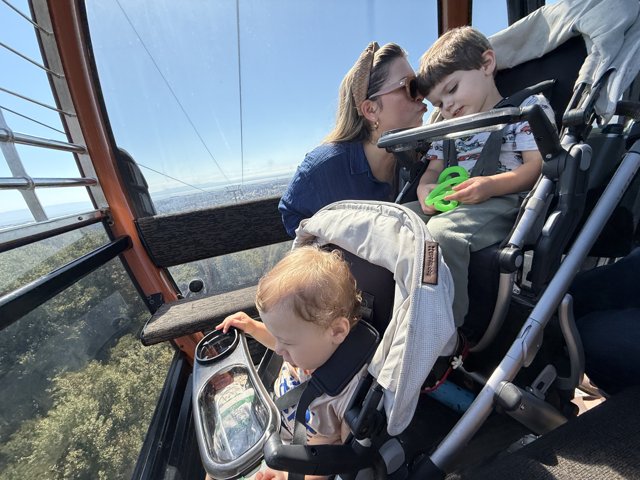 Family Adventure Above the Treetops