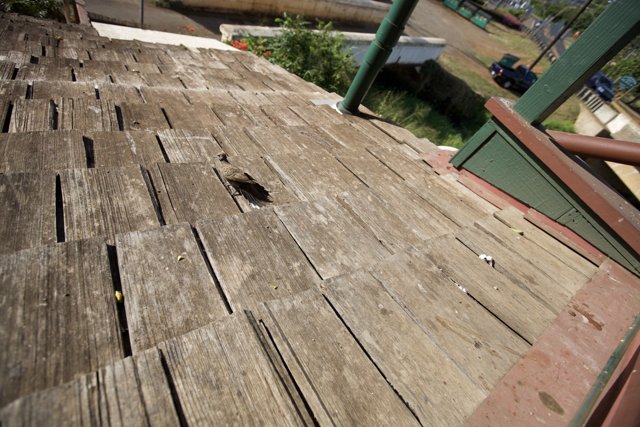 Bird's Eye View on a Wooden Roof