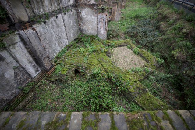 Abandoned Fortification Overtaken by Nature from Above