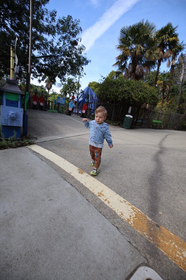 Young Child Exploring Fantasyland Park Pathway
