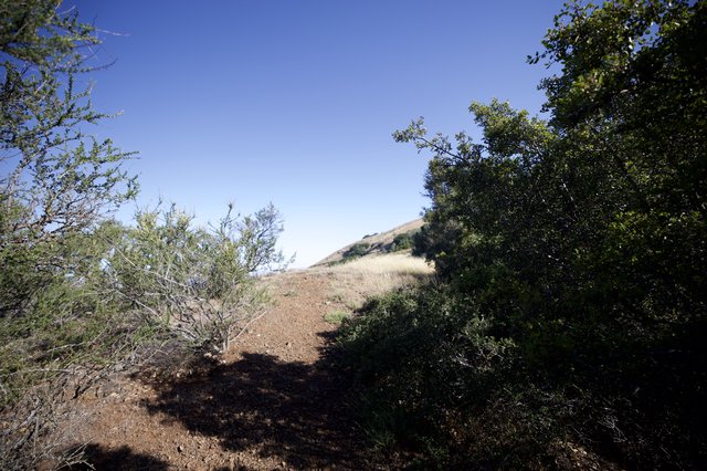 Sunlit Dirt Trail Ascending Through Chaparral Scrub
