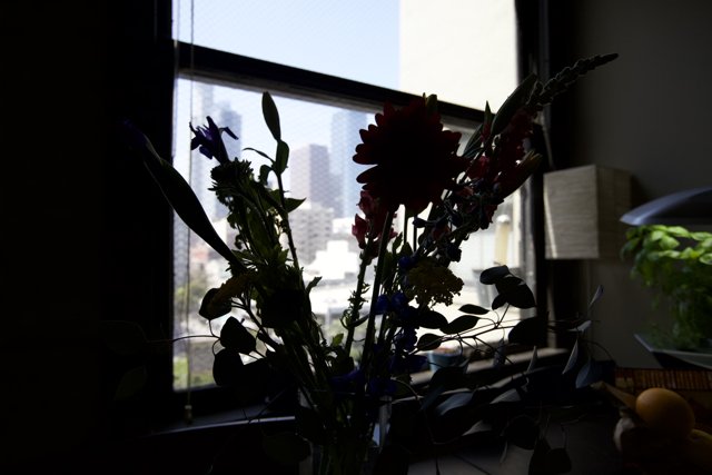 Window Bloom