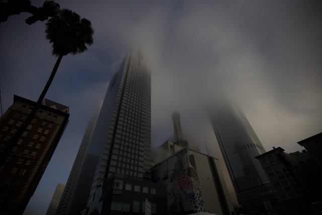 Urban Metropolis in the mist