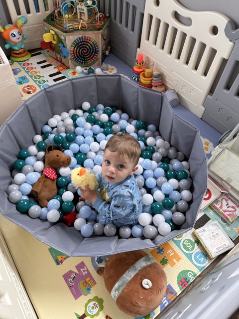 Joyful Playtime in the Ball Pit