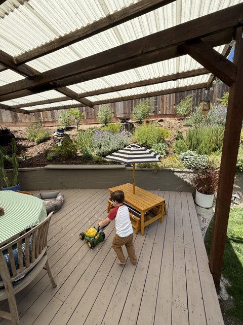 Backyard Adventures Under the Pergola