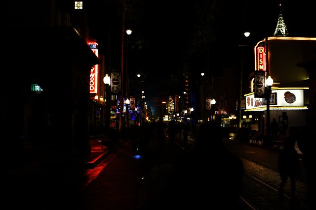 Nighttime in the Metropolis