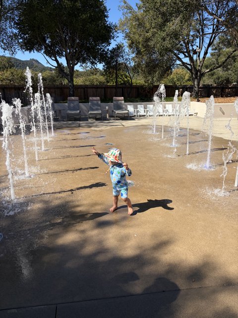 Joyful Play by the Fountains