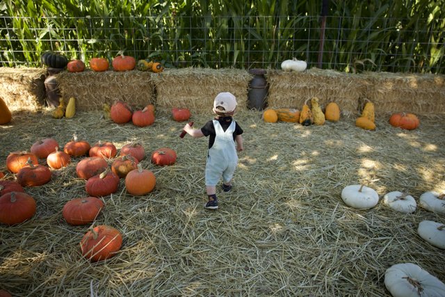 Autumn Adventures with Wesley at the Pumpkin Patch