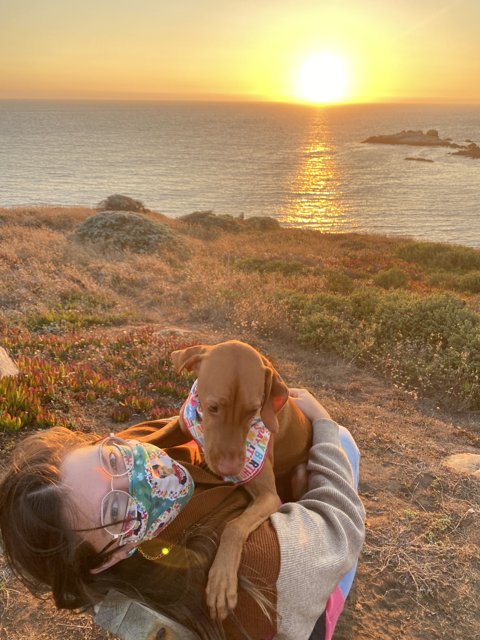 Sunset Serenity with Furry Friend