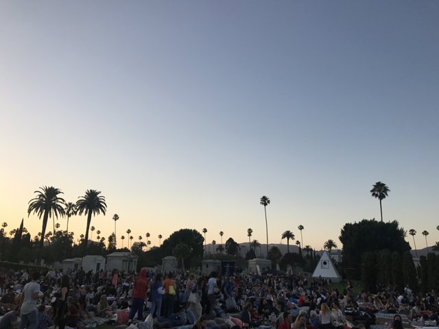 Sunset Crowd at Hollywood Forever