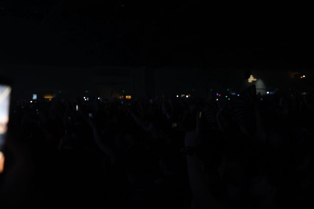 Sea of Lights at Wobbleland Festival After Dark