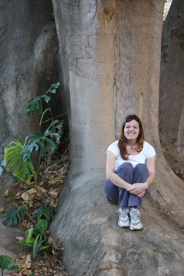 Woman Smiling Among Giant Tropical Tree Roots