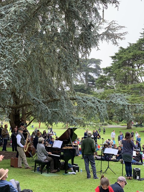 Piano Performance in the Park
