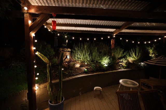 Desert Garden Patio at Night with String Lights