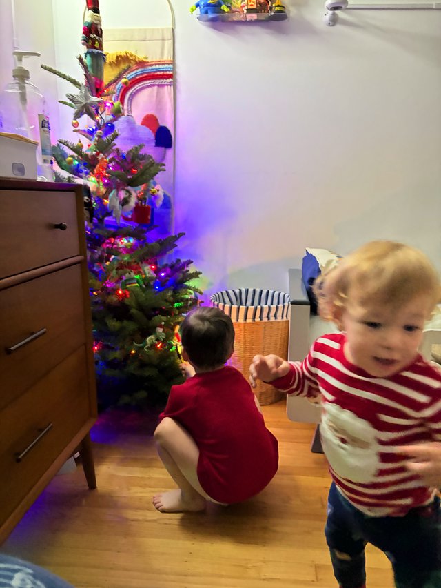 Children Captivated by Decorated Christmas Tree at Night