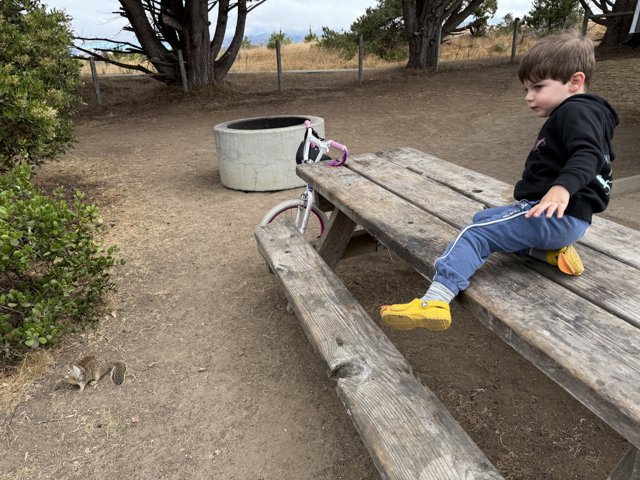 Curious Encounters in Cambria