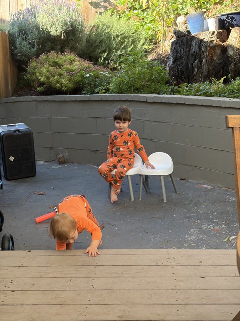 Backyard Adventures in Orange