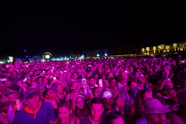 Pink Lights and a Happy Crowd at Coachella