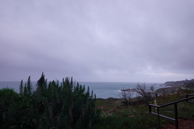 A Serene View of the Ocean from the Hilltop
