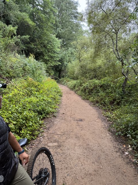 Adventure Awaits on the Redwood Trail