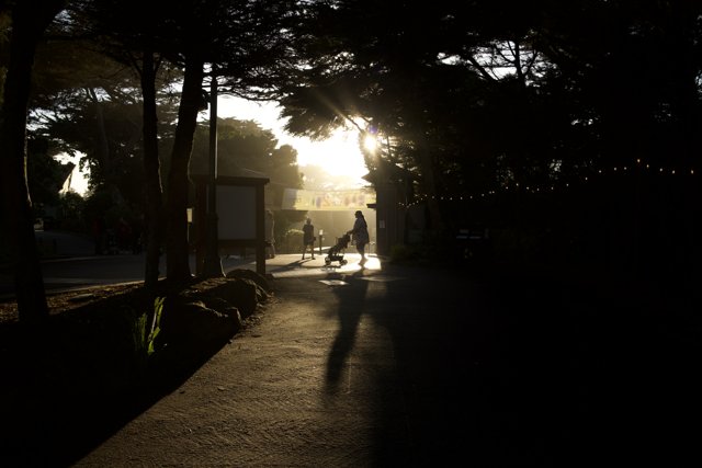 An Urban Stroll at Sunrise