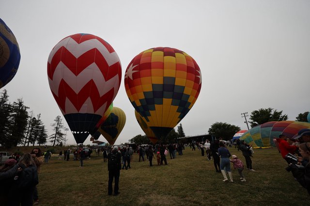Colorful Hot Air Balloons Rise at Sonoma Classic
