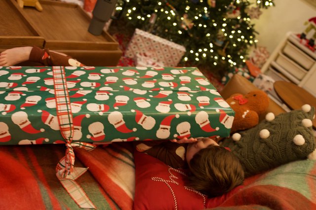 Christmas Morning Gift Opening with Illuminated Tree