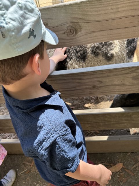 Curious Encounters at Tilden Nature Area
