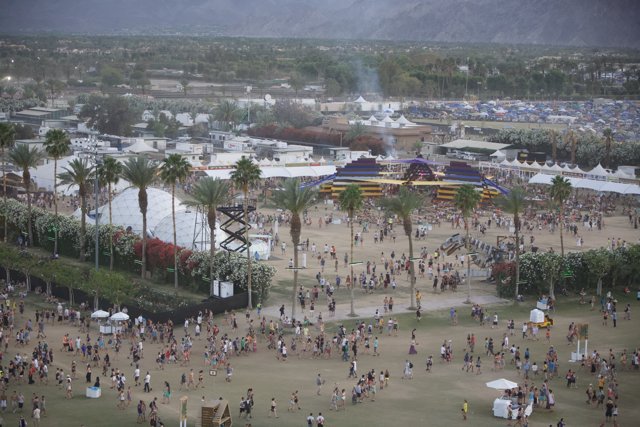 Desert Festival Crowd