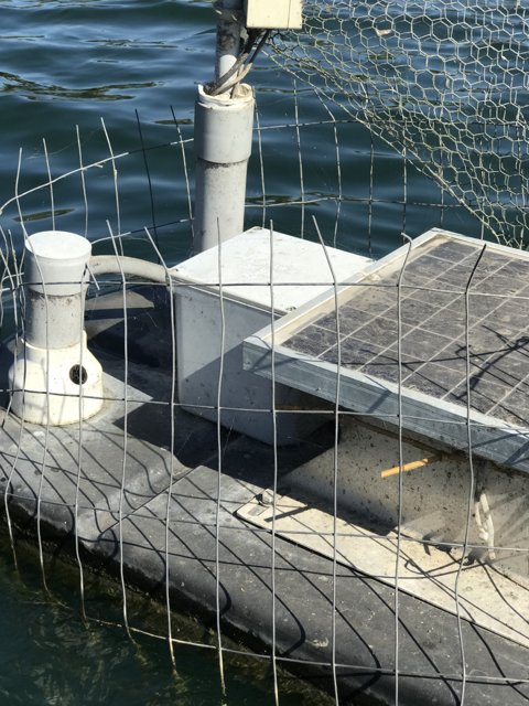 Solar-Powered Boat