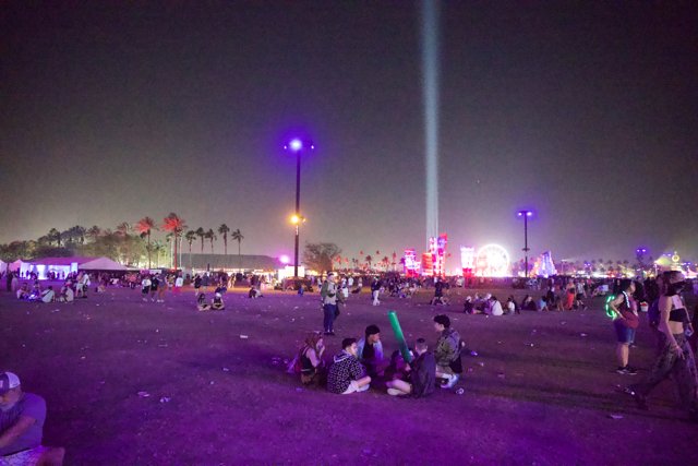 Purple Haze at Coachella 2024: A Night Under the Lights