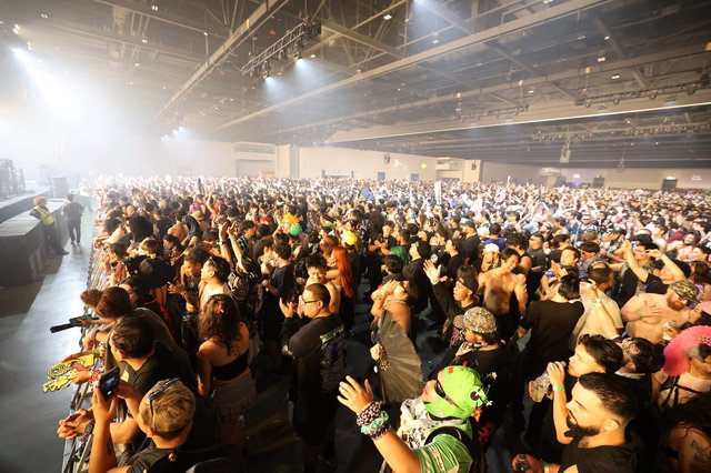 Massive Crowd Surges at Wobbleland 2026 Festival