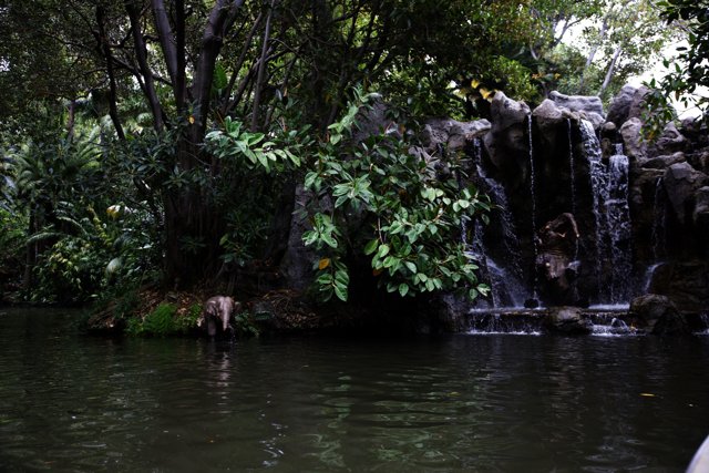 Enchanting Jungle Waterfall