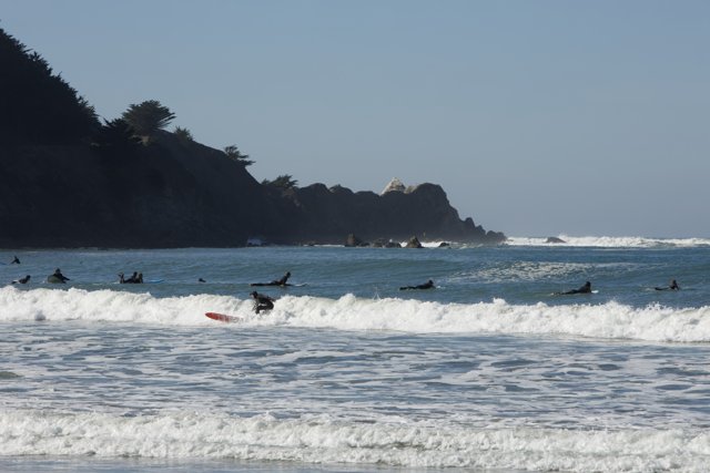 Harmony of the Pacifica: Surfing 2023