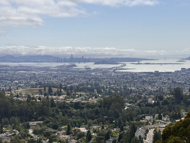 Panoramic Vista: Oakland in View