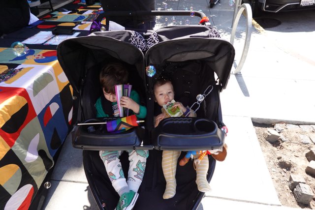 Double Stroller Adventures