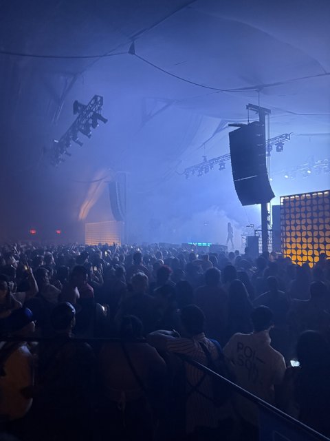 Electric Vibes Under the Stars
