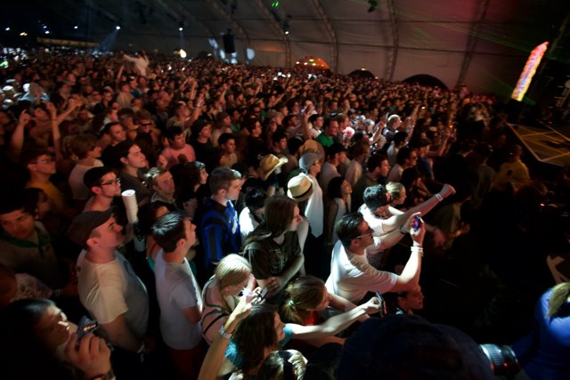 Crowd Goes Wild: A Snapshot from Coachella '08