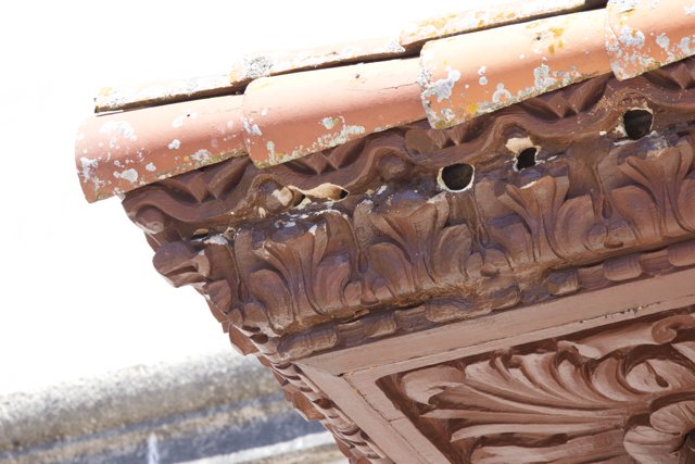 Architectural Elegance in Detail