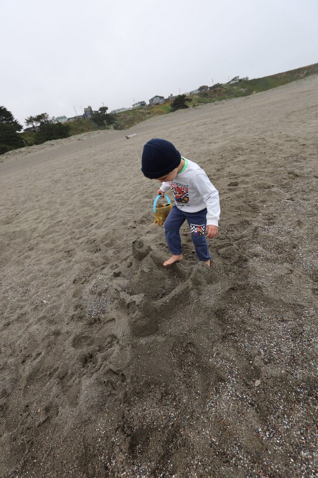 Young Boy Building Sandcastles on Foggy Beach