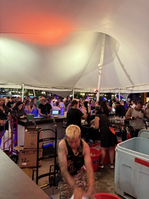 Buzzing Night Under the Tent