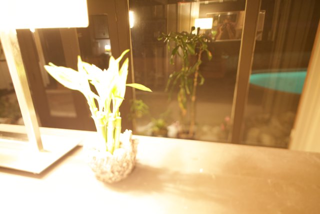 Ikebana-inspired Flower Arrangement on Wooden Table