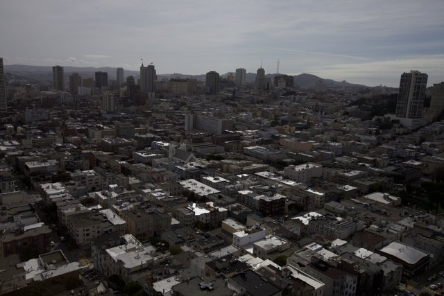 Aerial View of the Metropolis