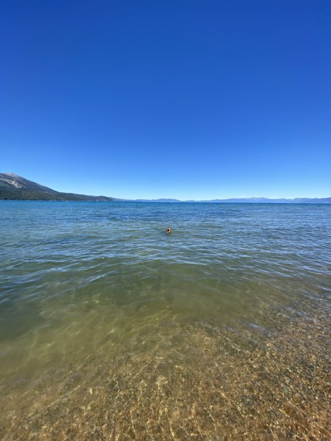 Serene Lake Tahoe with Majestic Mountains