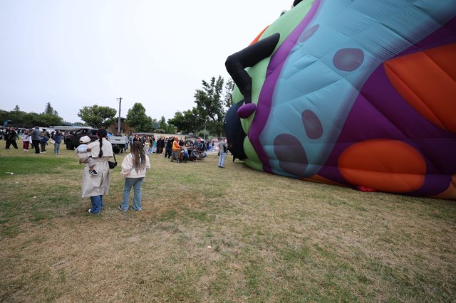 Giant Balloon Inflates at Sonoma County Festival