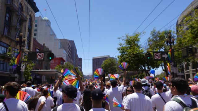 Unity in Colors