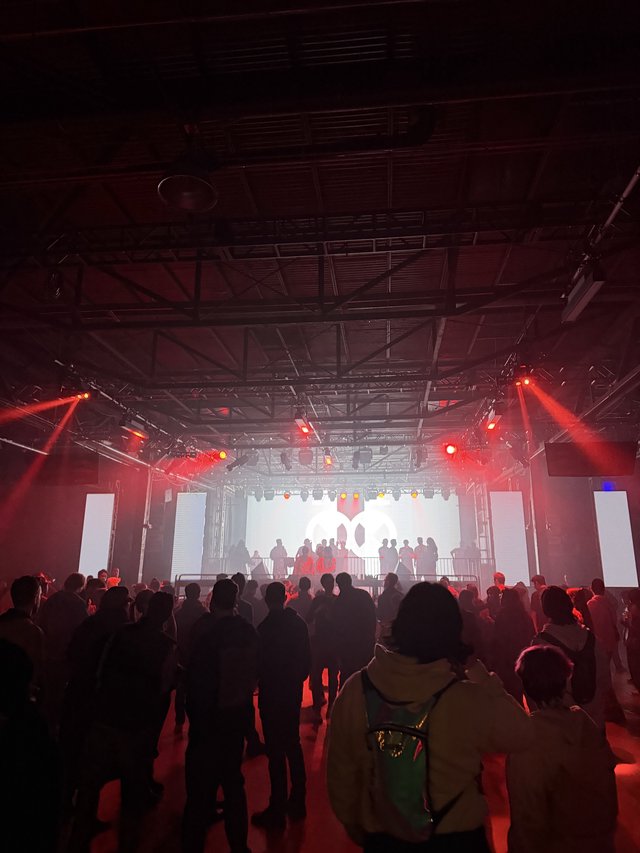 Red-Lit Electronic Music Performance with Crowd